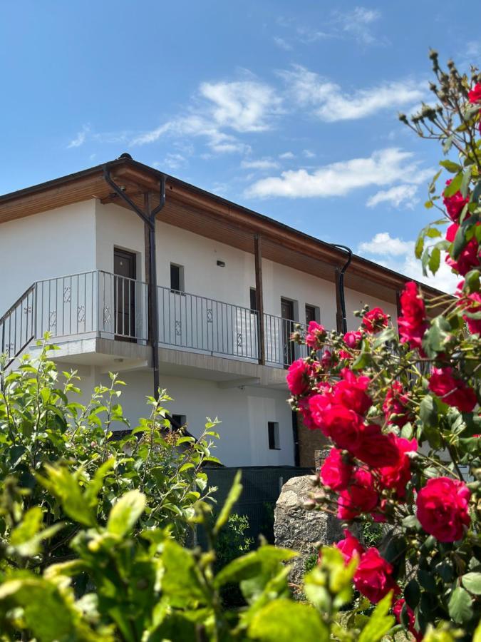 Vila Bloom Vama Veche Exteriér fotografie