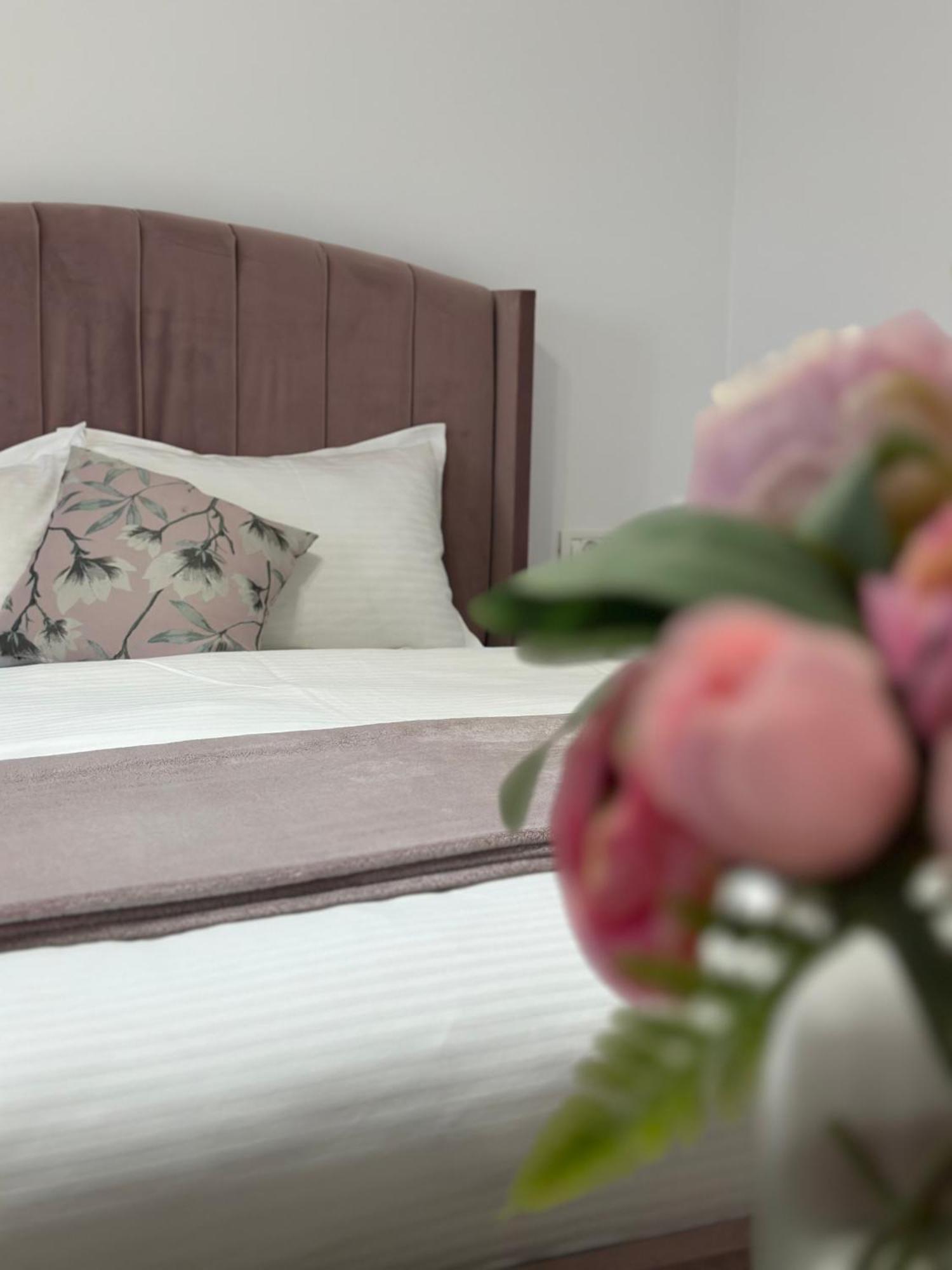 Vila Bloom Vama Veche Exteriér fotografie